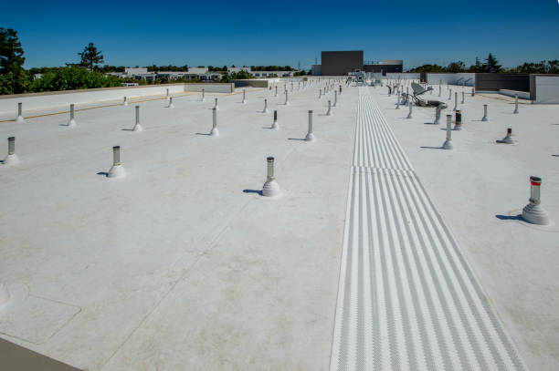 Best Slate Roofing  in Neptune Beach, FL